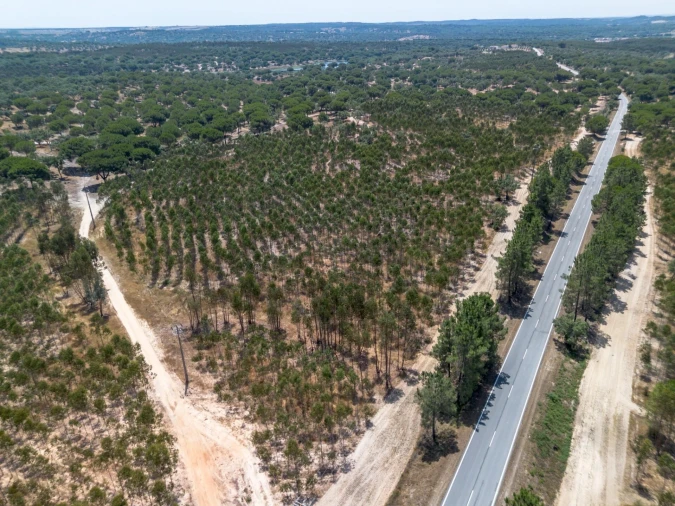 Quinta T11 para Venda em Cabrela Foto 29