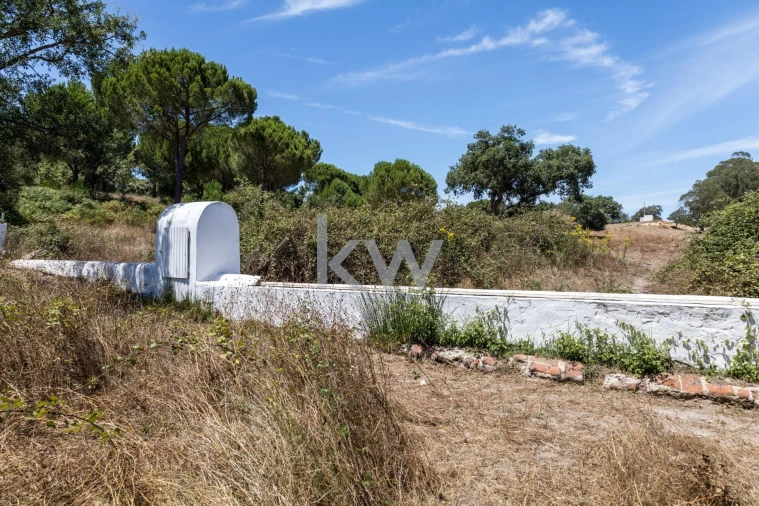 Quinta T11 para Venda em Cabrela Foto 44