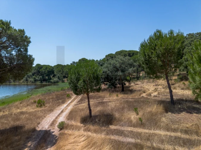 Quinta T11 para Venda em Cabrela Foto 14