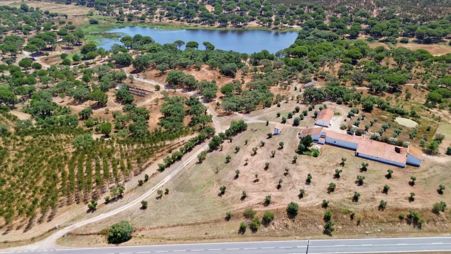 Quinta T11 para Venda em Cabrela Foto 27