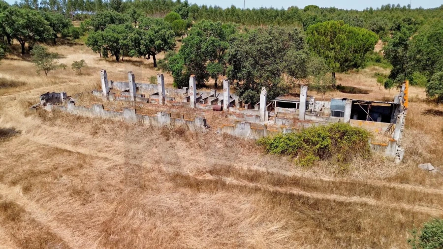 Quinta T11 para Venda em Cabrela Foto 20