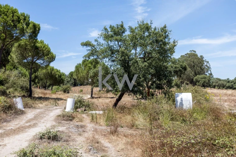 Quinta T11 para Venda em Cabrela Foto 46