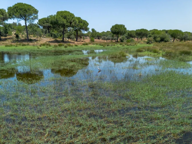 Quinta T11 para Venda em Cabrela Foto 7