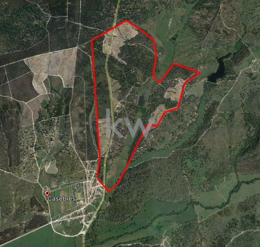 Quinta T11 para Venda em Cabrela Foto 36