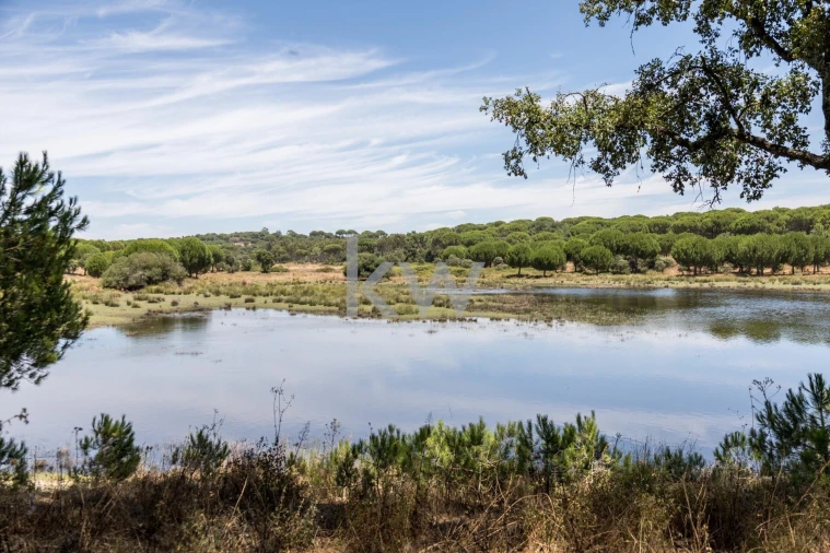 Quinta T11 para Venda em Cabrela Foto 33