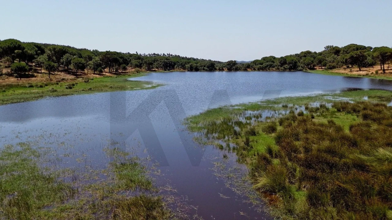 Quinta T11 para Venda em Cabrela Foto 25