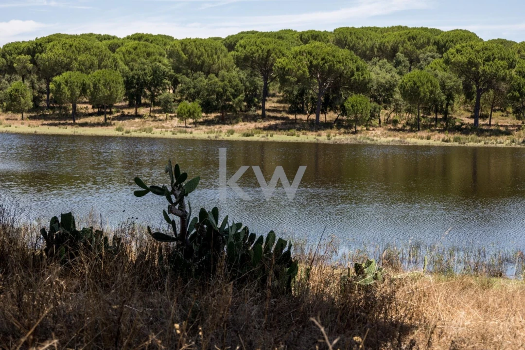 Quinta T11 para Venda em Cabrela Foto 39