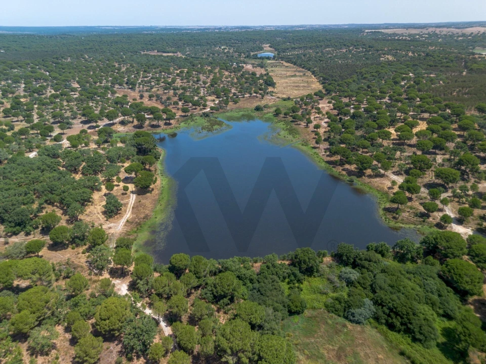 Quinta T11 para Venda em Cabrela Foto 11