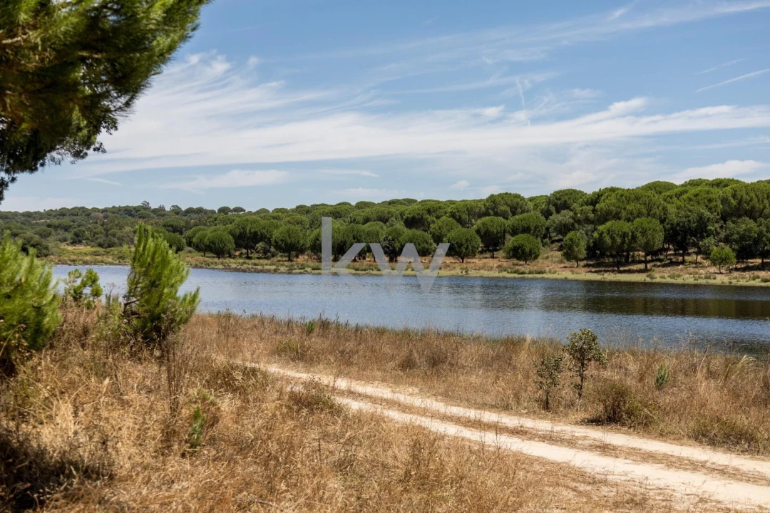 Quinta T11 para Venda em Cabrela Foto 40