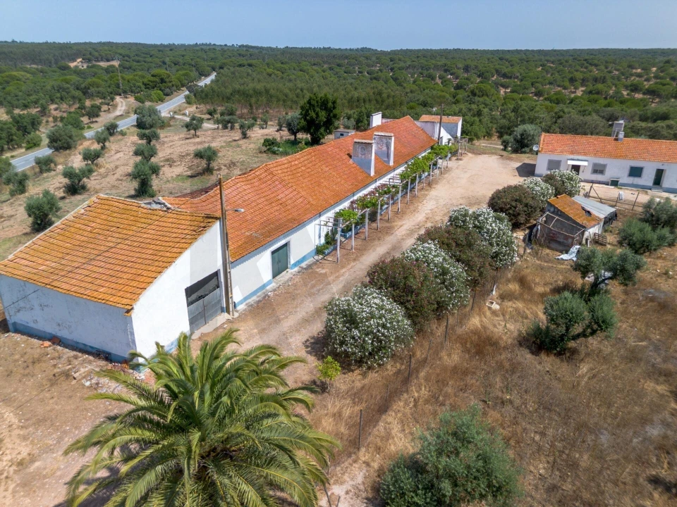 Quinta T11 para Venda em Cabrela Foto 3