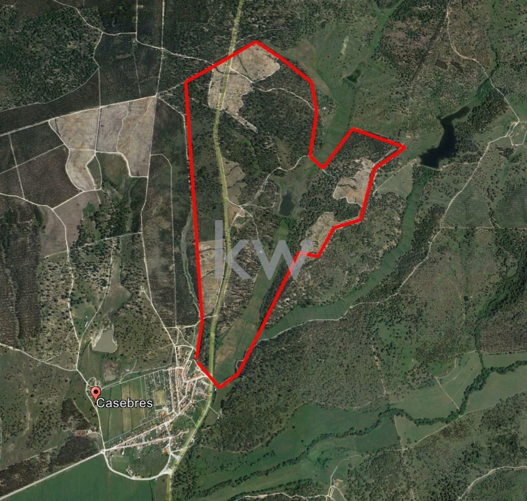 Quinta T11 para Venda em Cabrela Foto 36