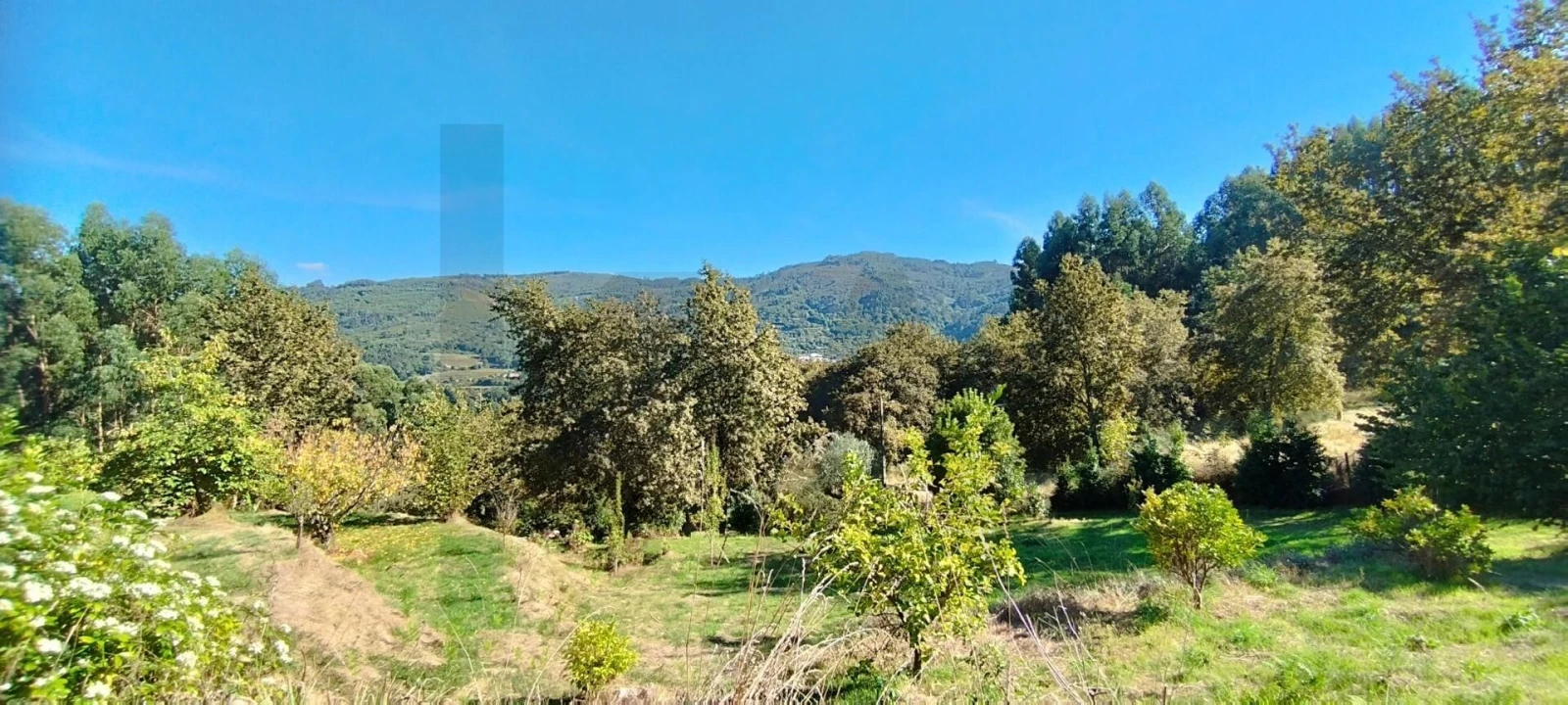 Quinta T2 para Venda em Gondufe Foto 12