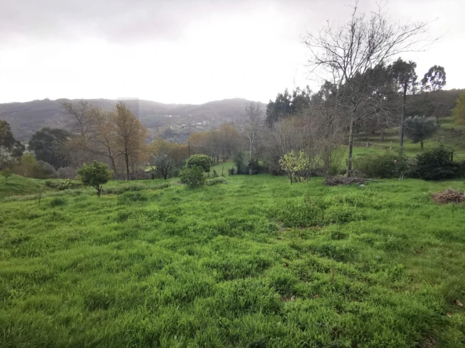 Quinta T2 para Venda em Gondufe Foto 2