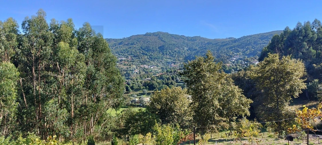 Quinta T2 para Venda em Gondufe Foto 15