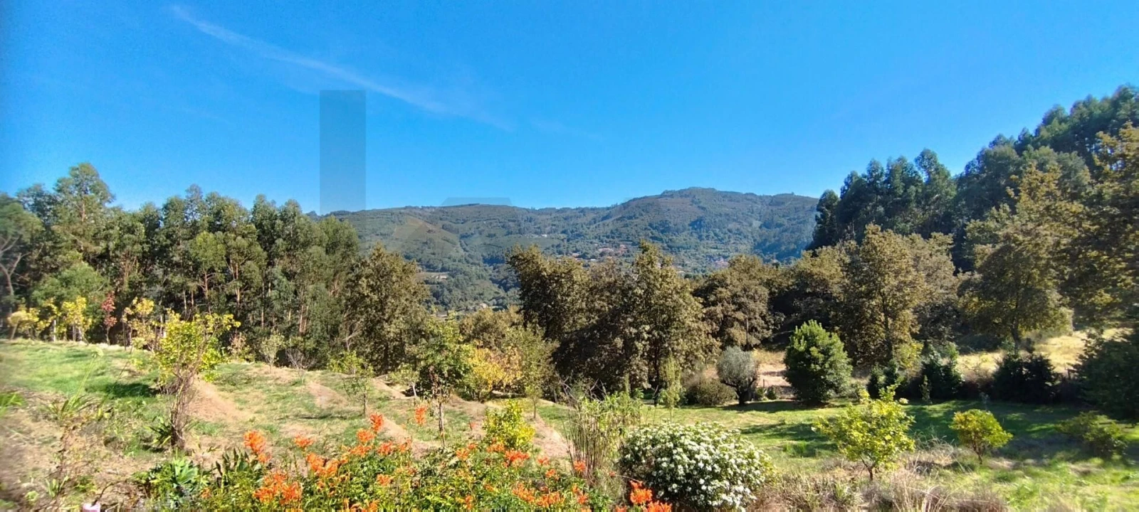 Quinta T2 para Venda em Gondufe Foto 11