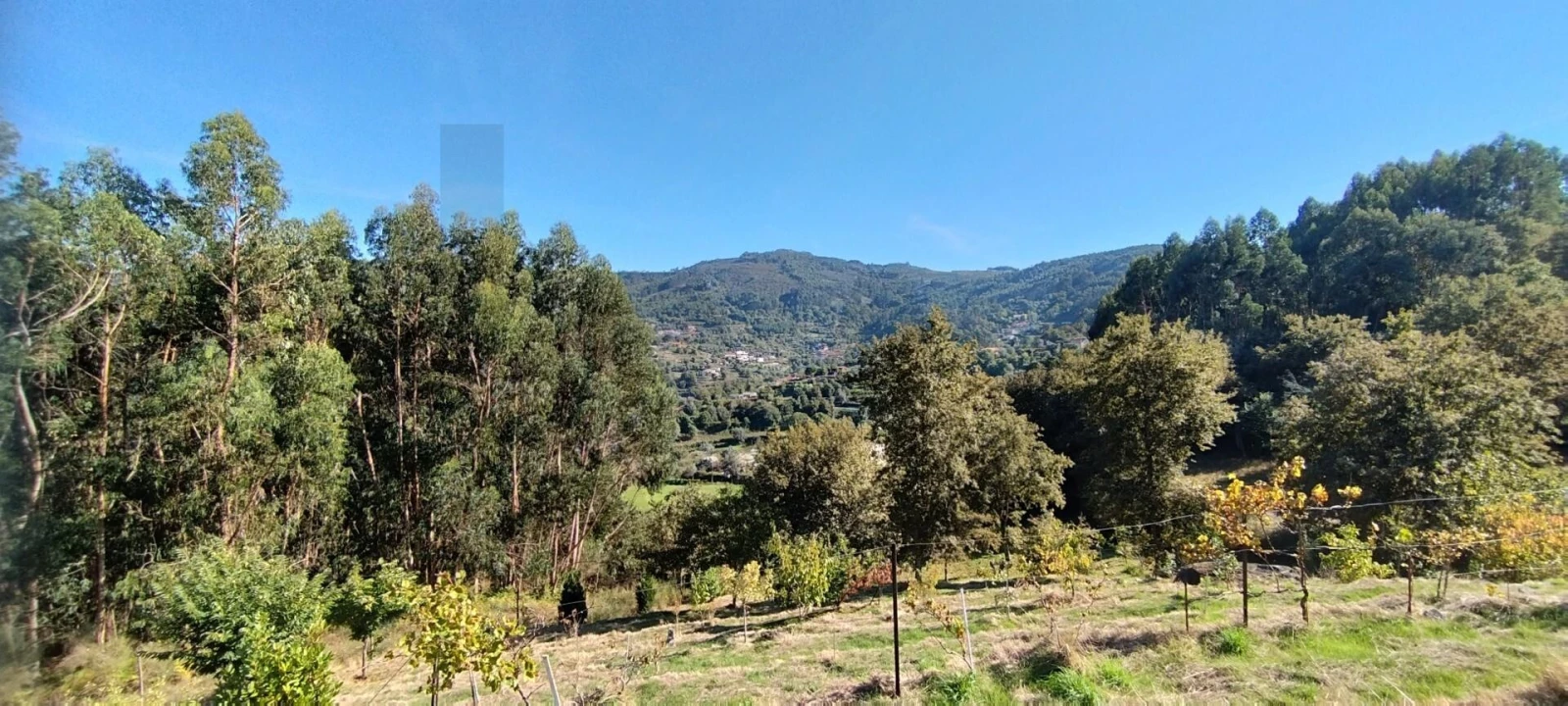 Quinta T2 para Venda em Gondufe Foto 16