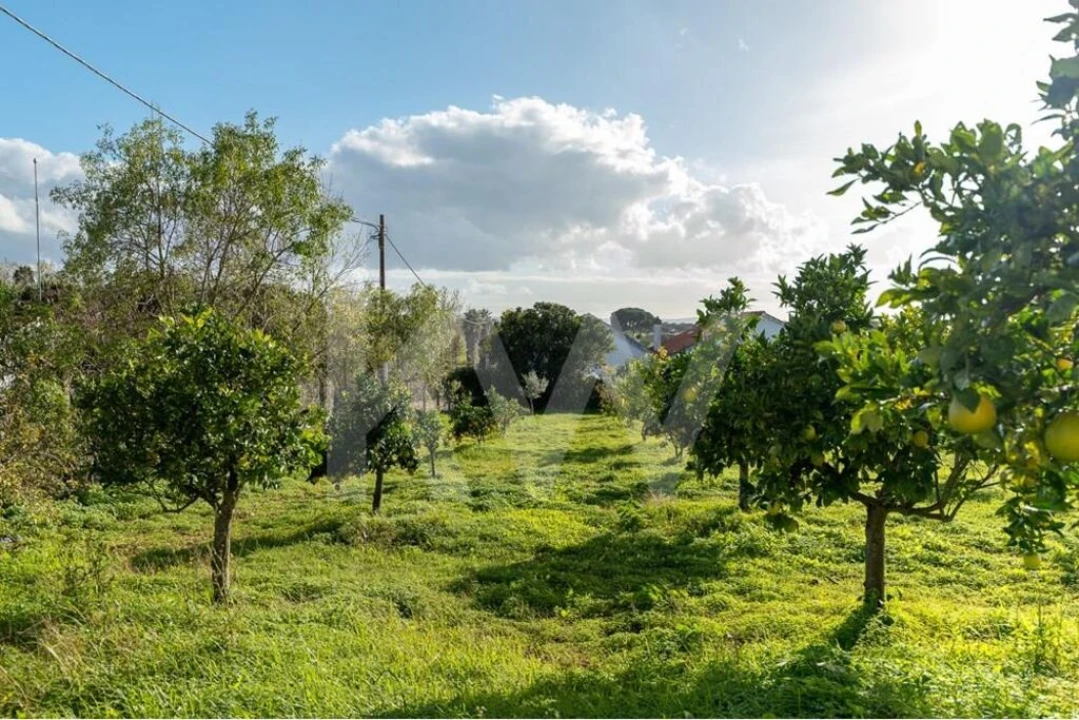 Quinta T6 para Venda em Nossa Senhora da Vila, Nossa Senhora do Bispo e Silveiras Foto 27