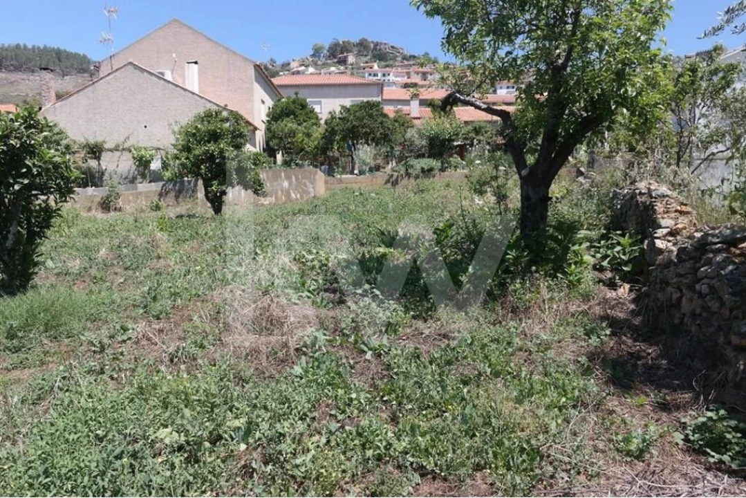 Terreno para Venda em Penha Garcia Foto 22