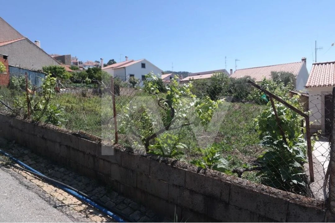 Terreno para Venda em Penha Garcia Foto 15