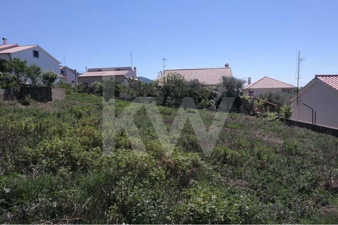 Terreno para Venda em Penha Garcia Foto 3