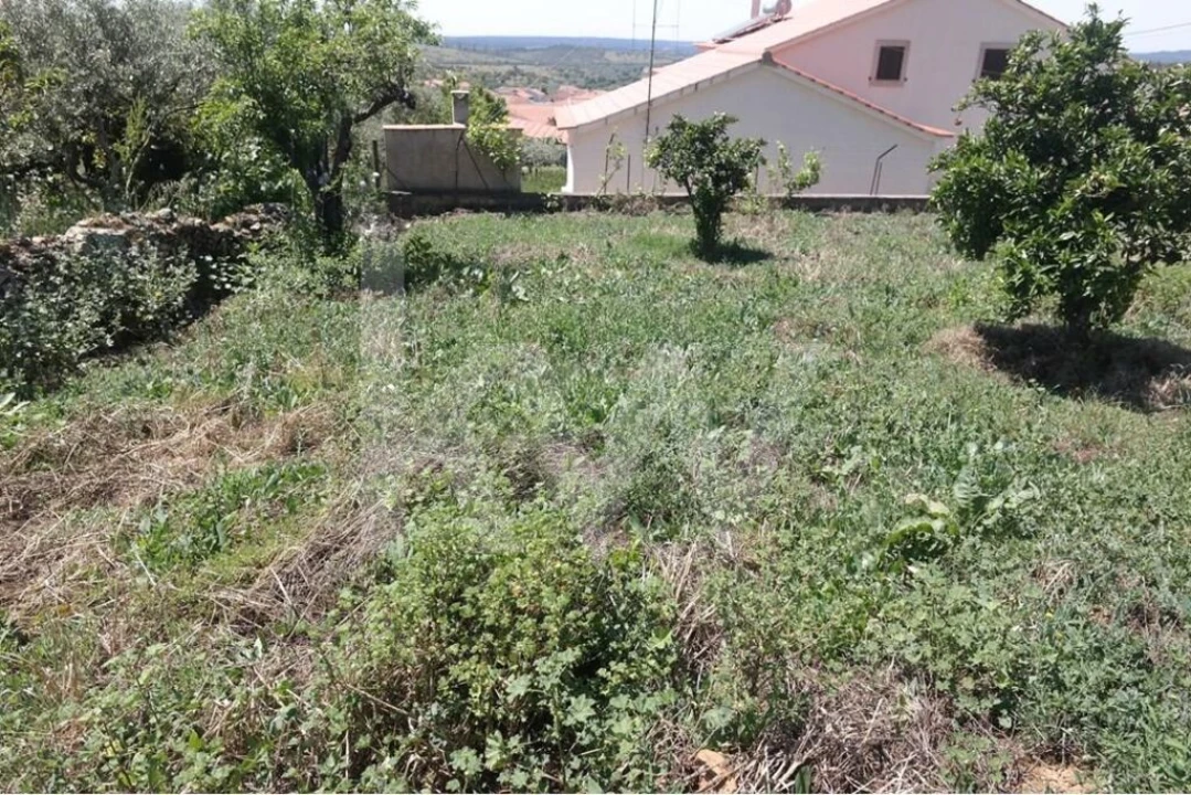 Terreno para Venda em Penha Garcia Foto 4