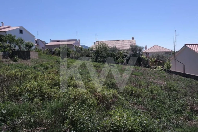 Terreno para Venda em Penha Garcia Foto 3