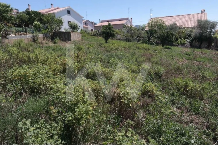 Terreno para Venda em Penha Garcia Foto 18