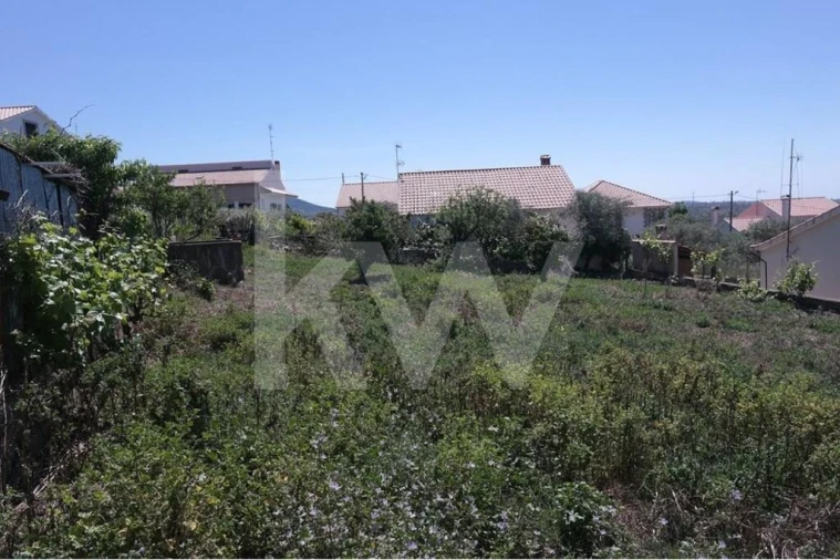 Terreno para Venda em Penha Garcia Foto 17