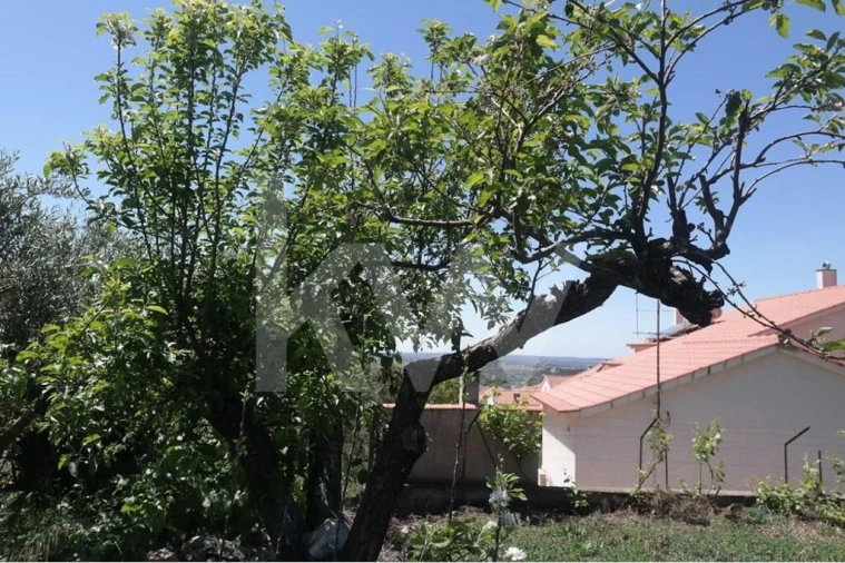 Terreno para Venda em Penha Garcia Foto 20