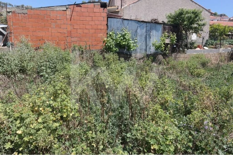 Terreno para Venda em Penha Garcia Foto 19