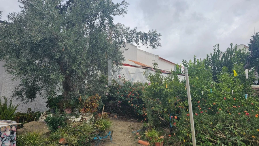 Moradia T3 para Venda em Aldeia dos Fernandes Foto 7