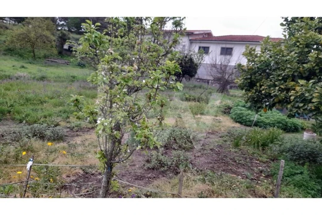 Terreno para Venda em Rebordões Foto 11