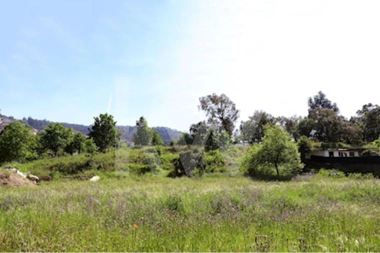 Terreno para Venda em Rebordões Foto 8