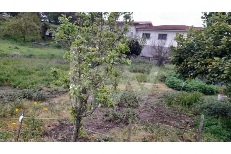 Terreno para Venda em Rebordões Foto 11