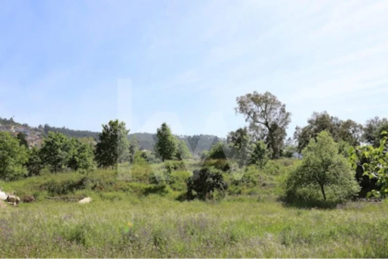 Terreno para Venda em Rebordões Foto 12