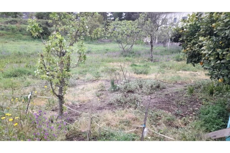 Terreno para Venda em Rebordões Foto 10