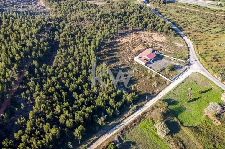 Terreno para Venda em Campelos e Outeiro da Cabeça Foto 6