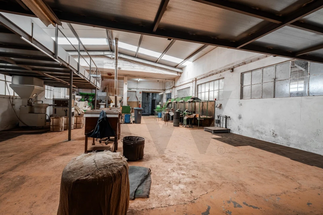 Armazém para Venda em Lourosa Foto 8