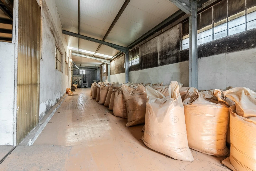 Armazém para Venda em Lourosa Foto 10
