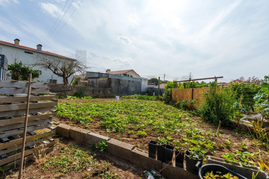 Armazém para Venda em Lourosa Foto 15