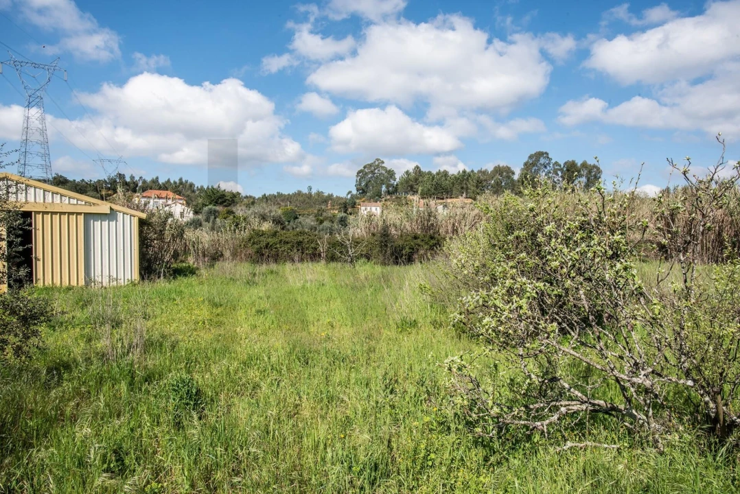 Terreno para Venda em Abrantes (São Vicente e São João) e Alferrarede Foto 8