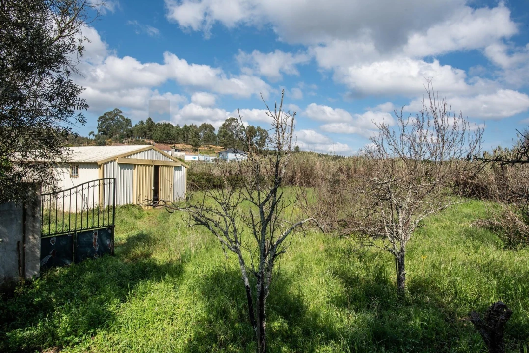 Terreno para Venda em Abrantes (São Vicente e São João) e Alferrarede Foto 10