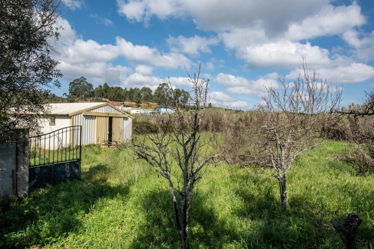 Terreno para Venda em Abrantes (São Vicente e São João) e Alferrarede Foto 10