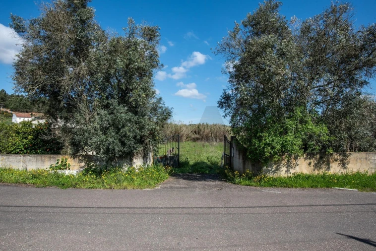 Terreno para Venda em Abrantes (São Vicente e São João) e Alferrarede Foto 1
