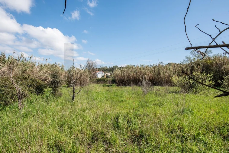 Terreno para Venda em Abrantes (São Vicente e São João) e Alferrarede Foto 12