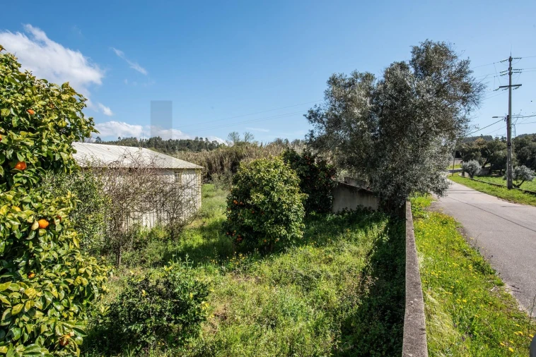Terreno para Venda em Abrantes (São Vicente e São João) e Alferrarede Foto 7