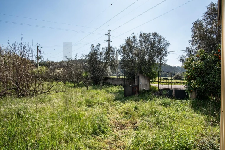 Terreno para Venda em Abrantes (São Vicente e São João) e Alferrarede Foto 14