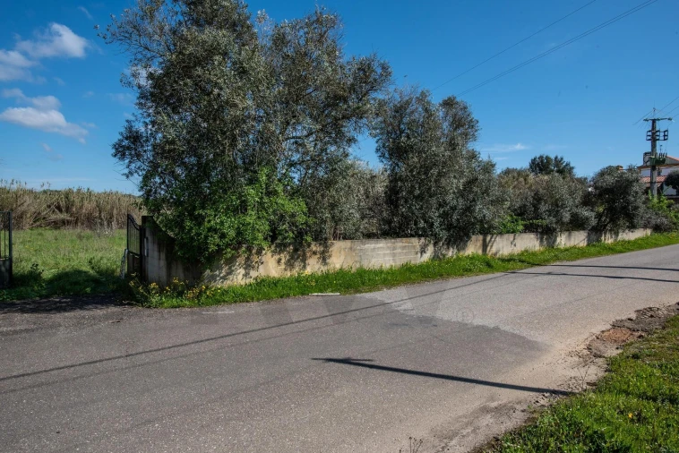 Terreno para Venda em Abrantes (São Vicente e São João) e Alferrarede Foto 4