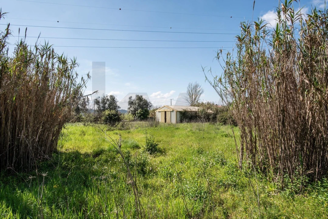 Terreno para Venda em Abrantes (São Vicente e São João) e Alferrarede Foto 11