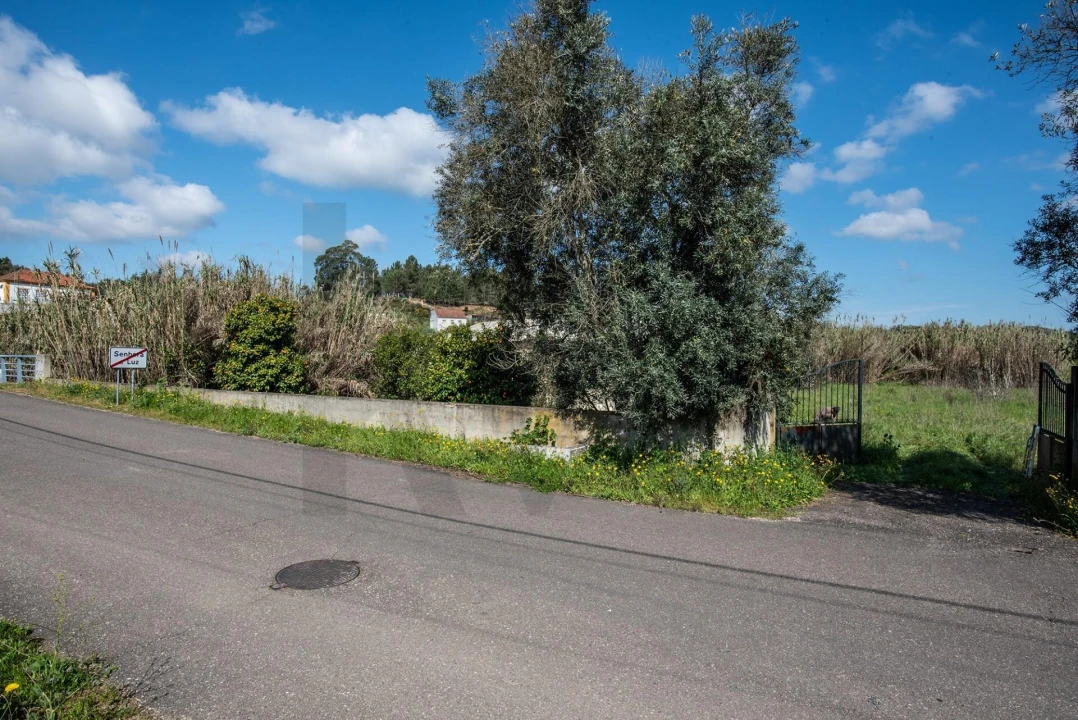 Terreno para Venda em Abrantes (São Vicente e São João) e Alferrarede Foto 2